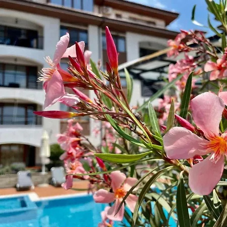 Violeta - With Sea View In 1st Line Sarafowo Apartment