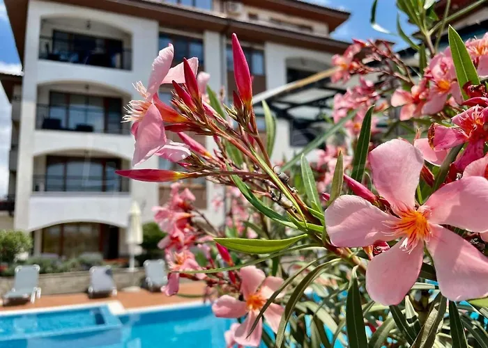 Violeta - With Sea View In 1st Line Sarafowo Appartement